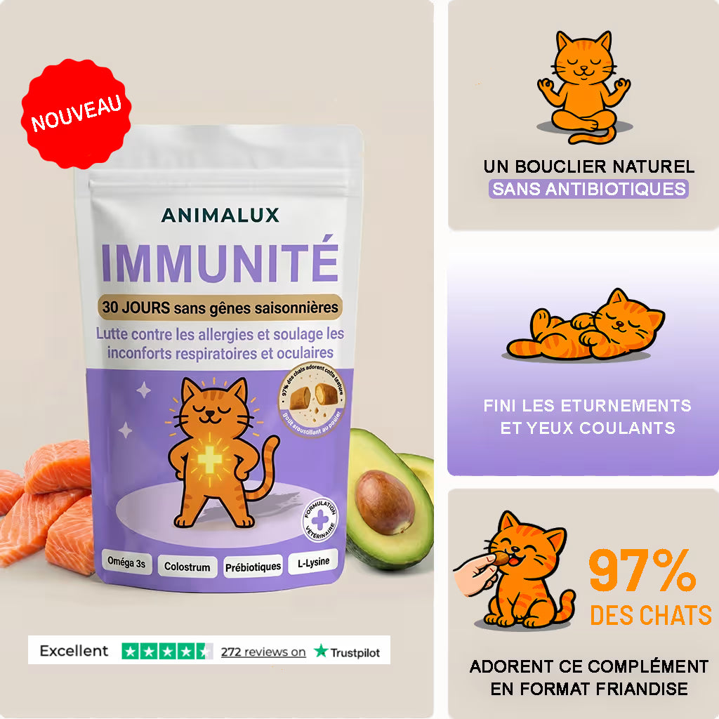 Bouchées Immunité