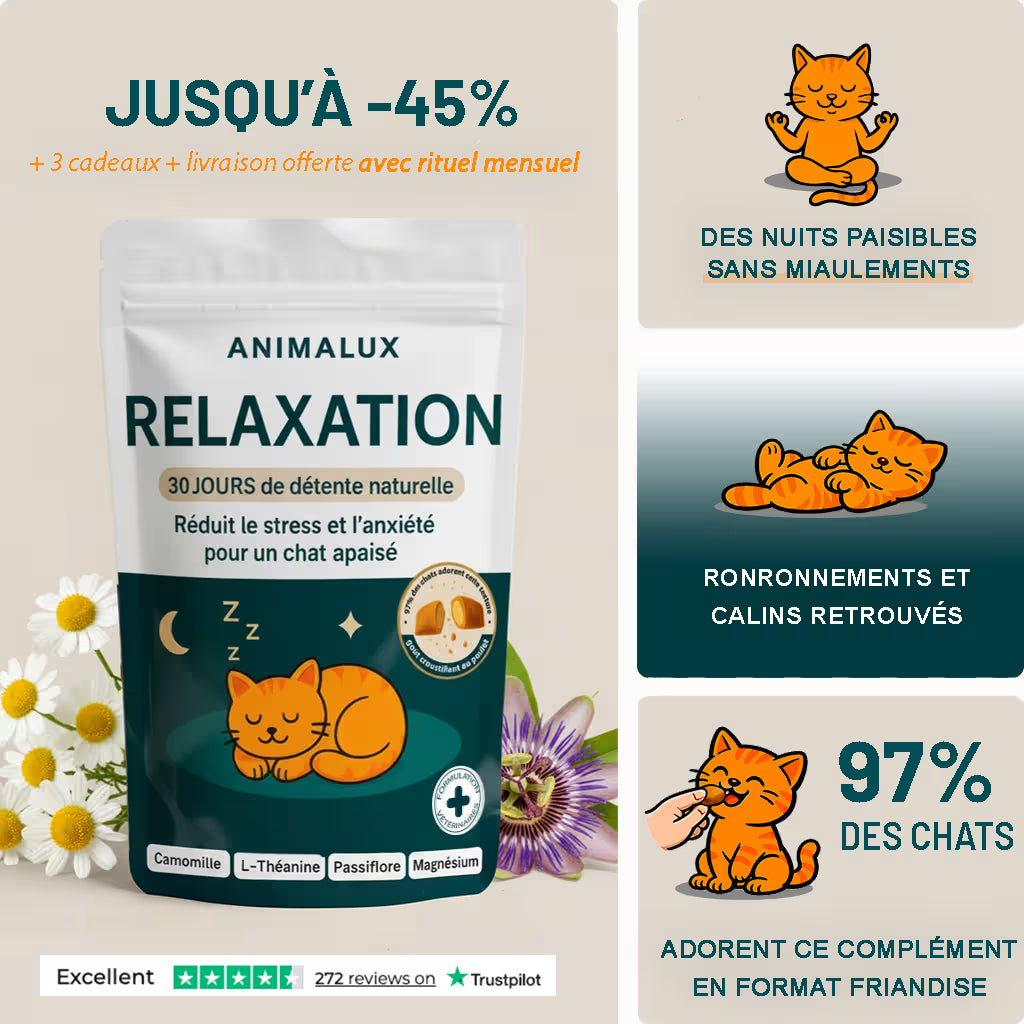 Complément Relaxation