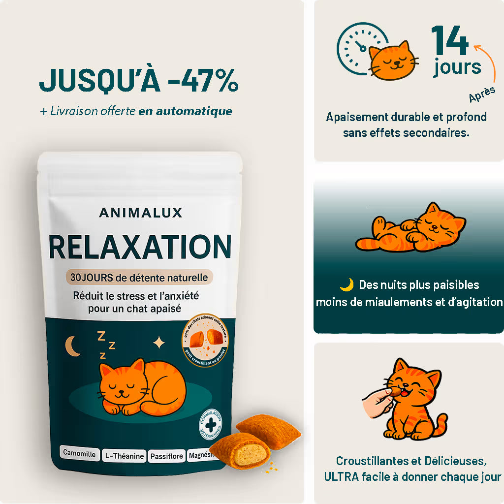 Complément Relaxation