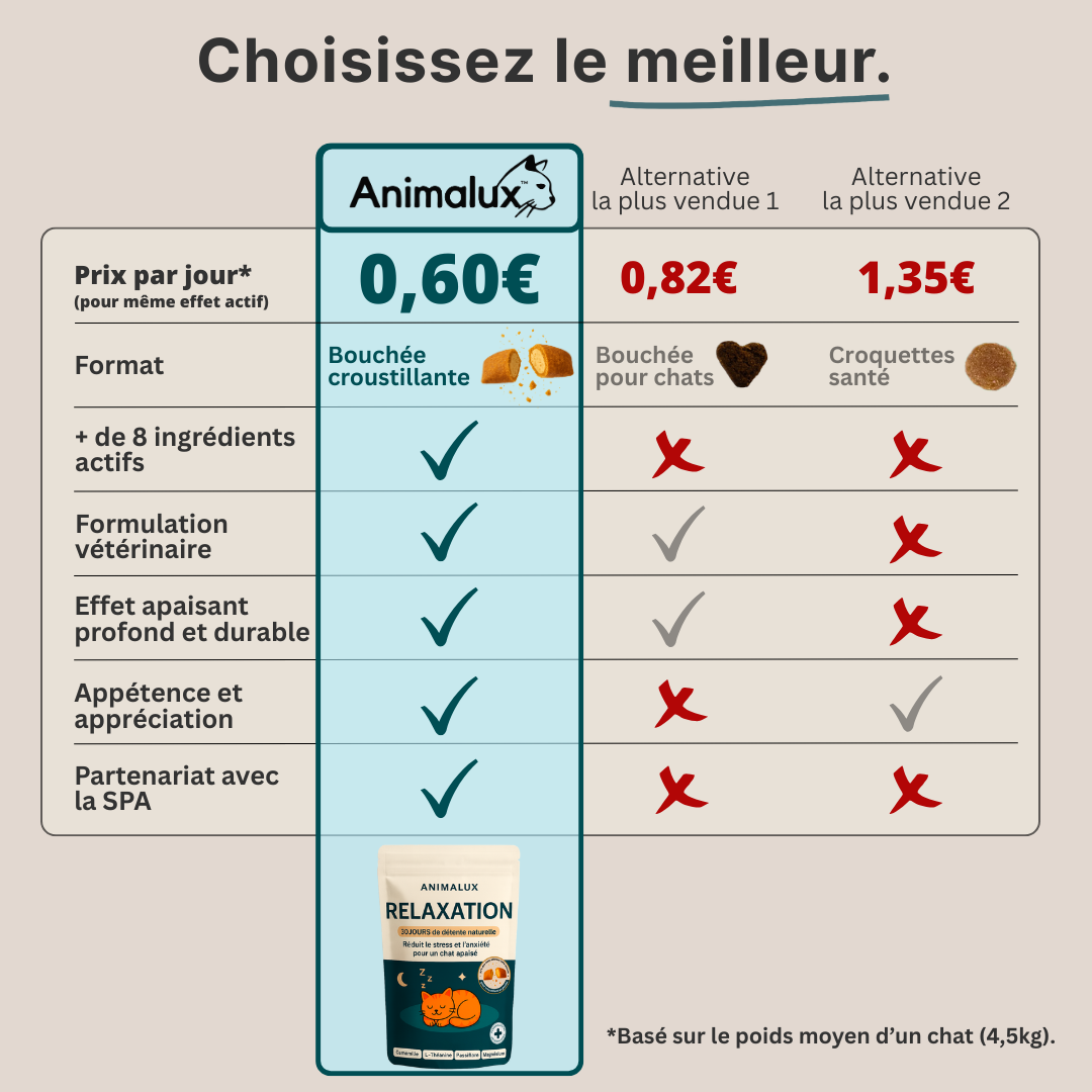 Compléments - Relaxation