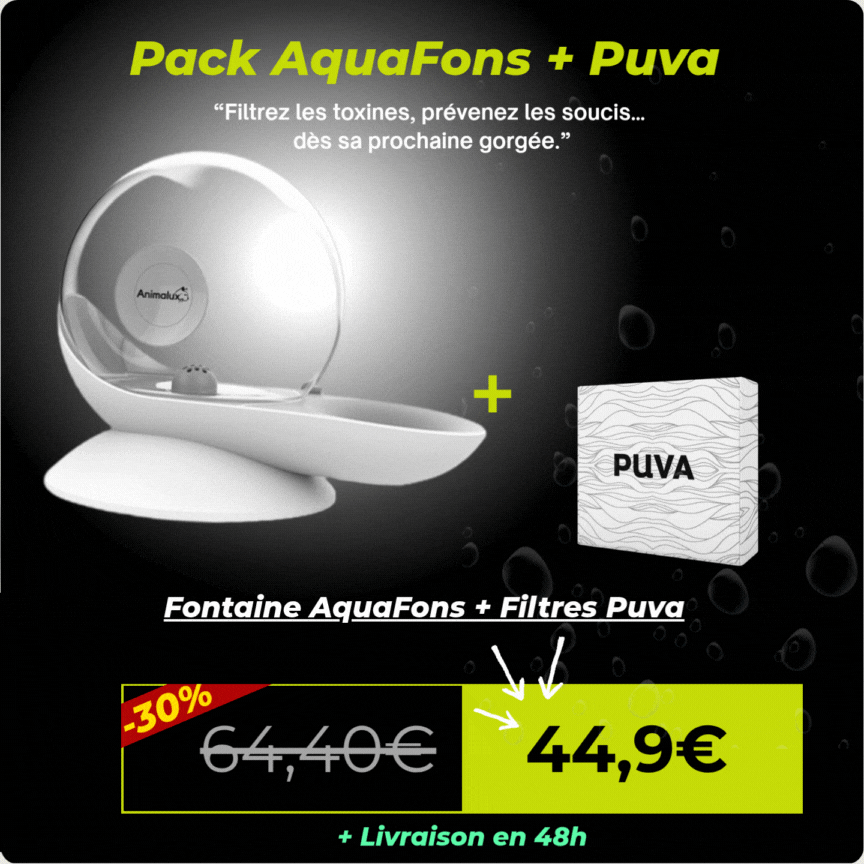 Fontaine AquaFons