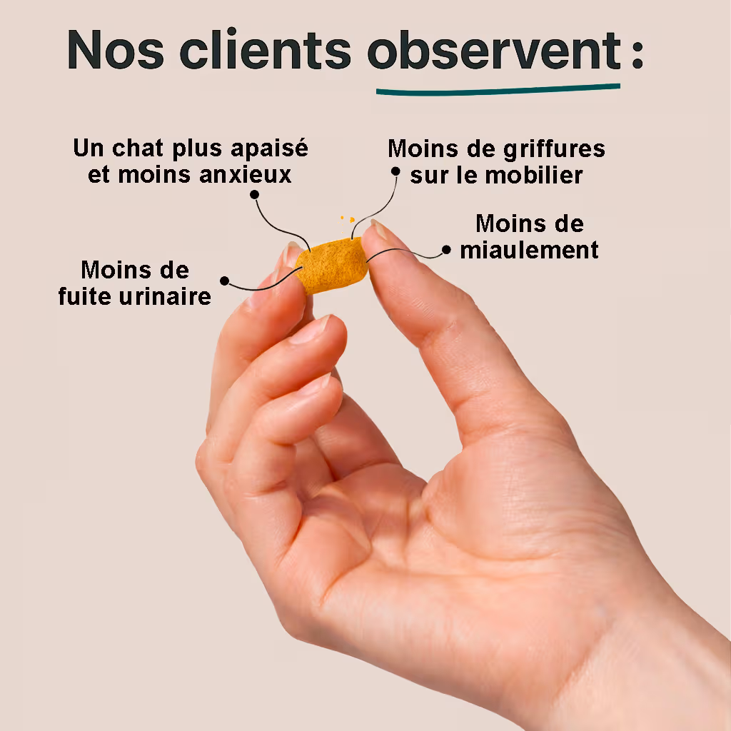 Complément Relaxation