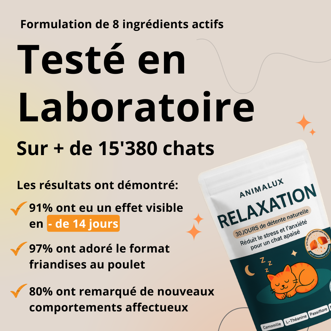 Complément Relaxation