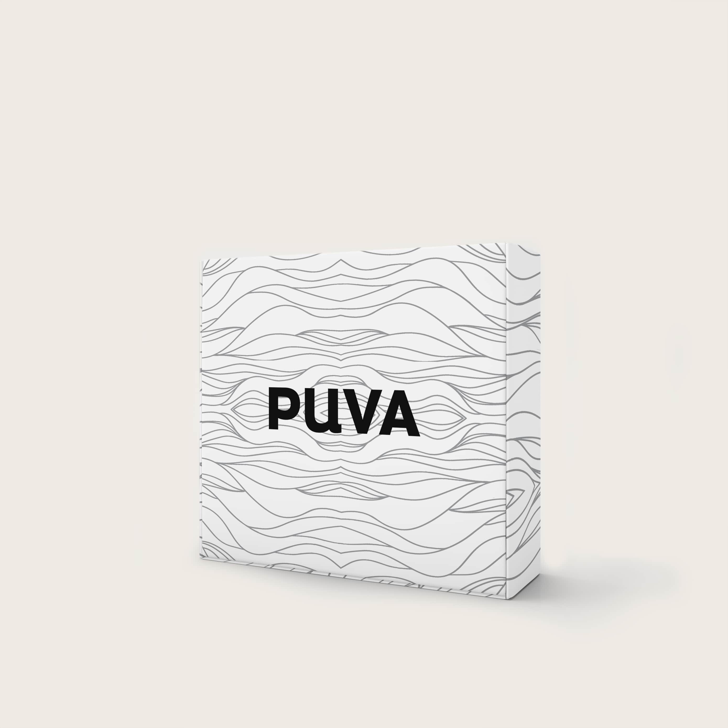 Pack 1 an de filtration Puva