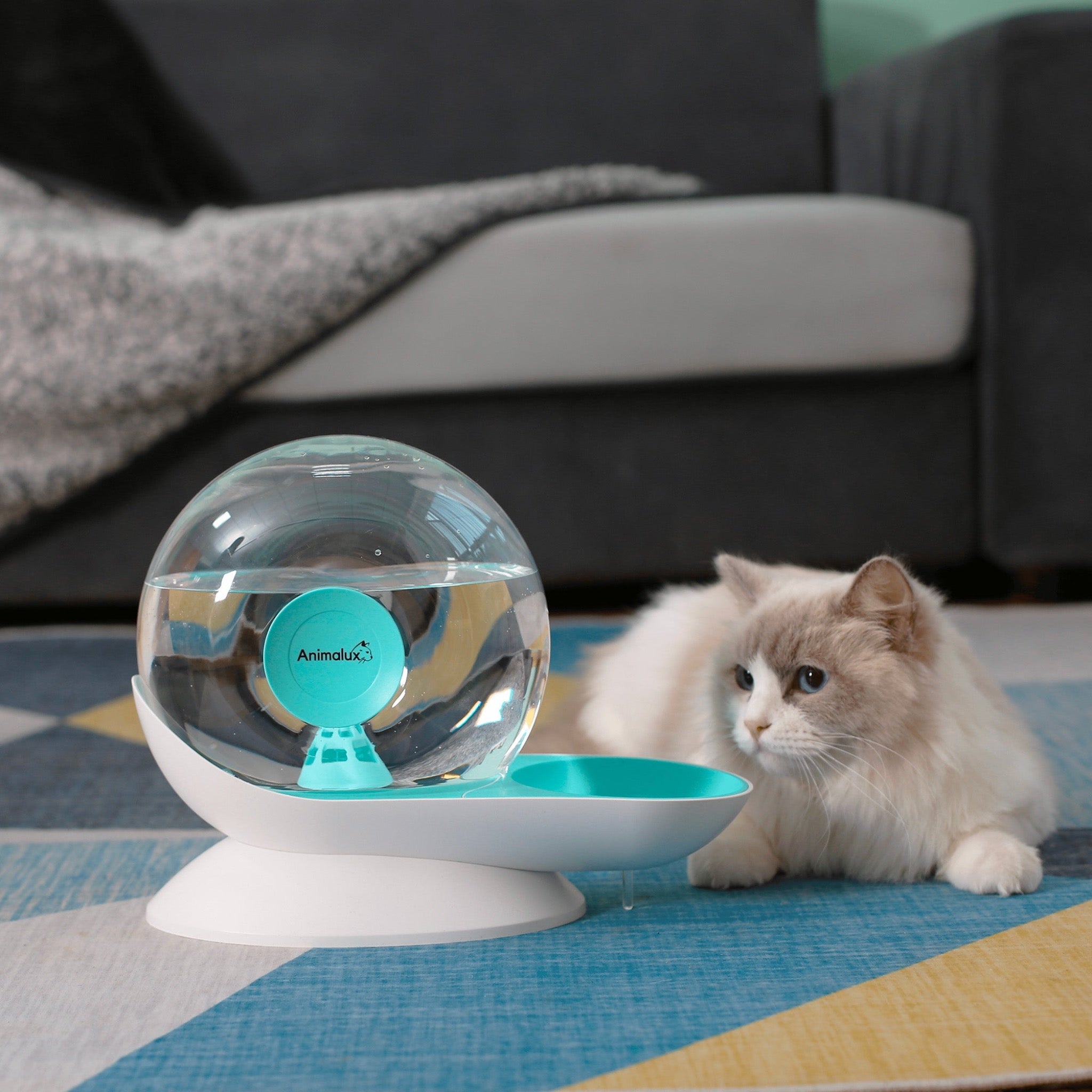 Fontaine a Eau Chat Aquafons Bleu Animalux, Front Side #couleur_bleu givre