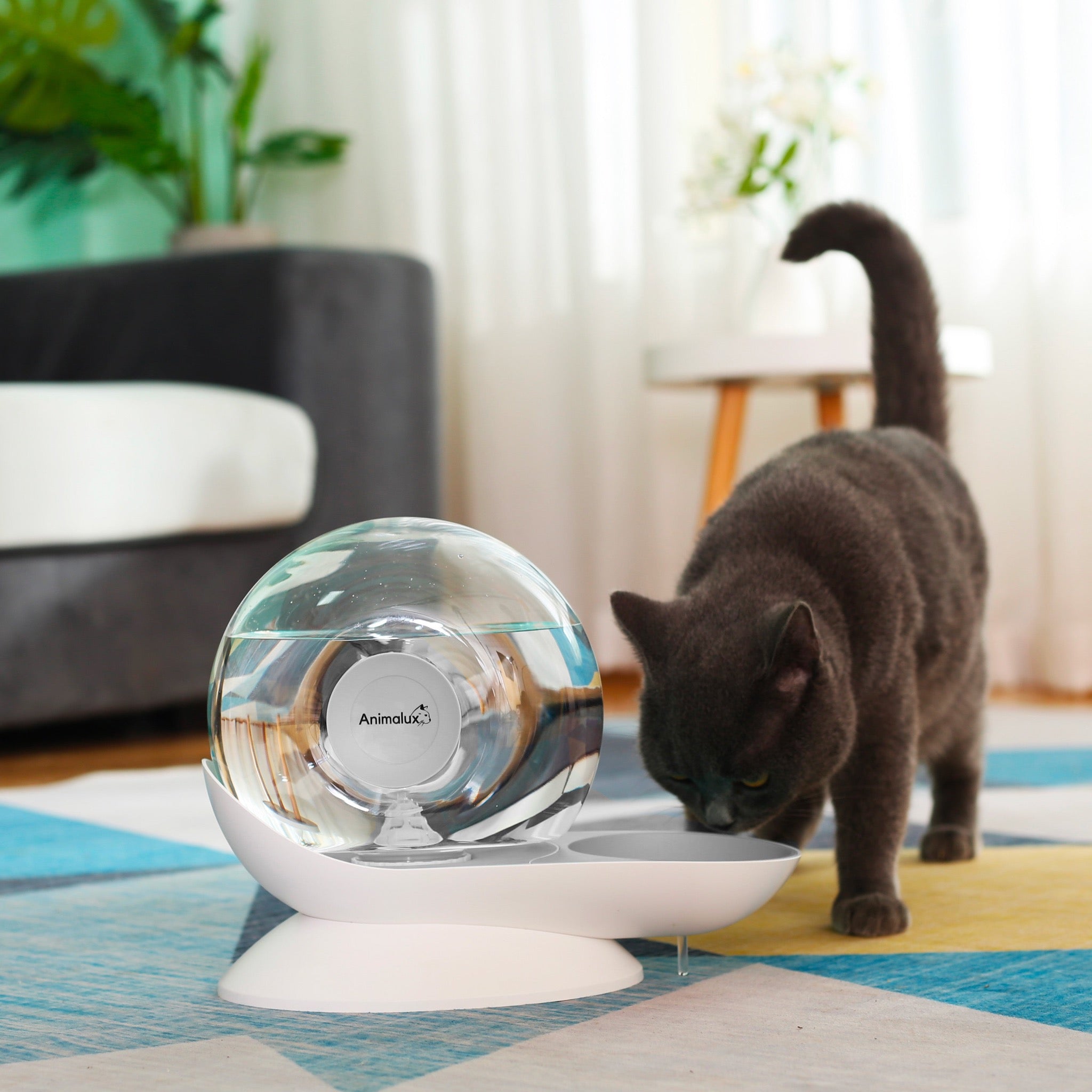 Fontaine a Eau Chat Aquafons Gris Animalux, Front Side #couleur_gris perle