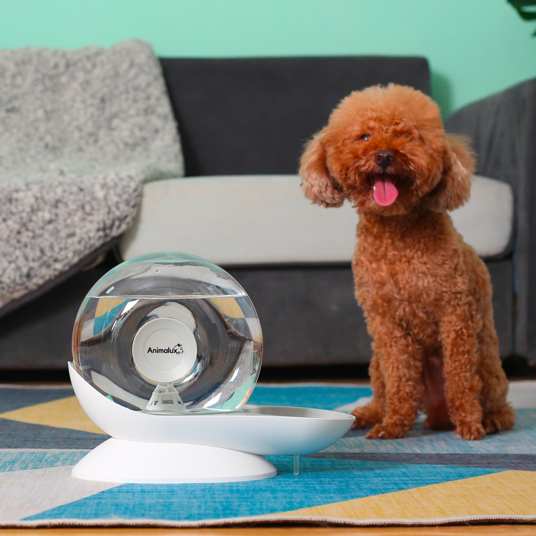 Fontaine a Eau Chien Aquafons Gris Animalux #couleur_gris perle