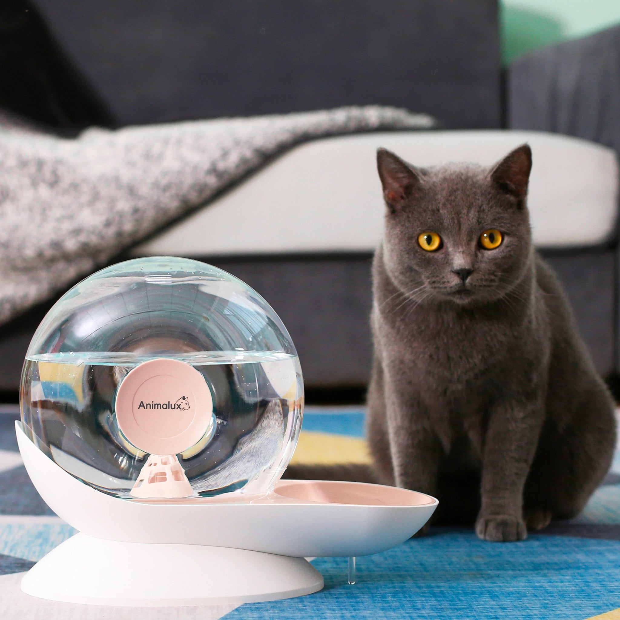 Fontaine a Eau Chat Aquafons Rose Animalux, Front Side #couleur_rose saumon