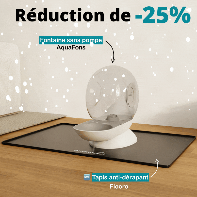 Pack Fontaine AquaFons + Tapis Flooro