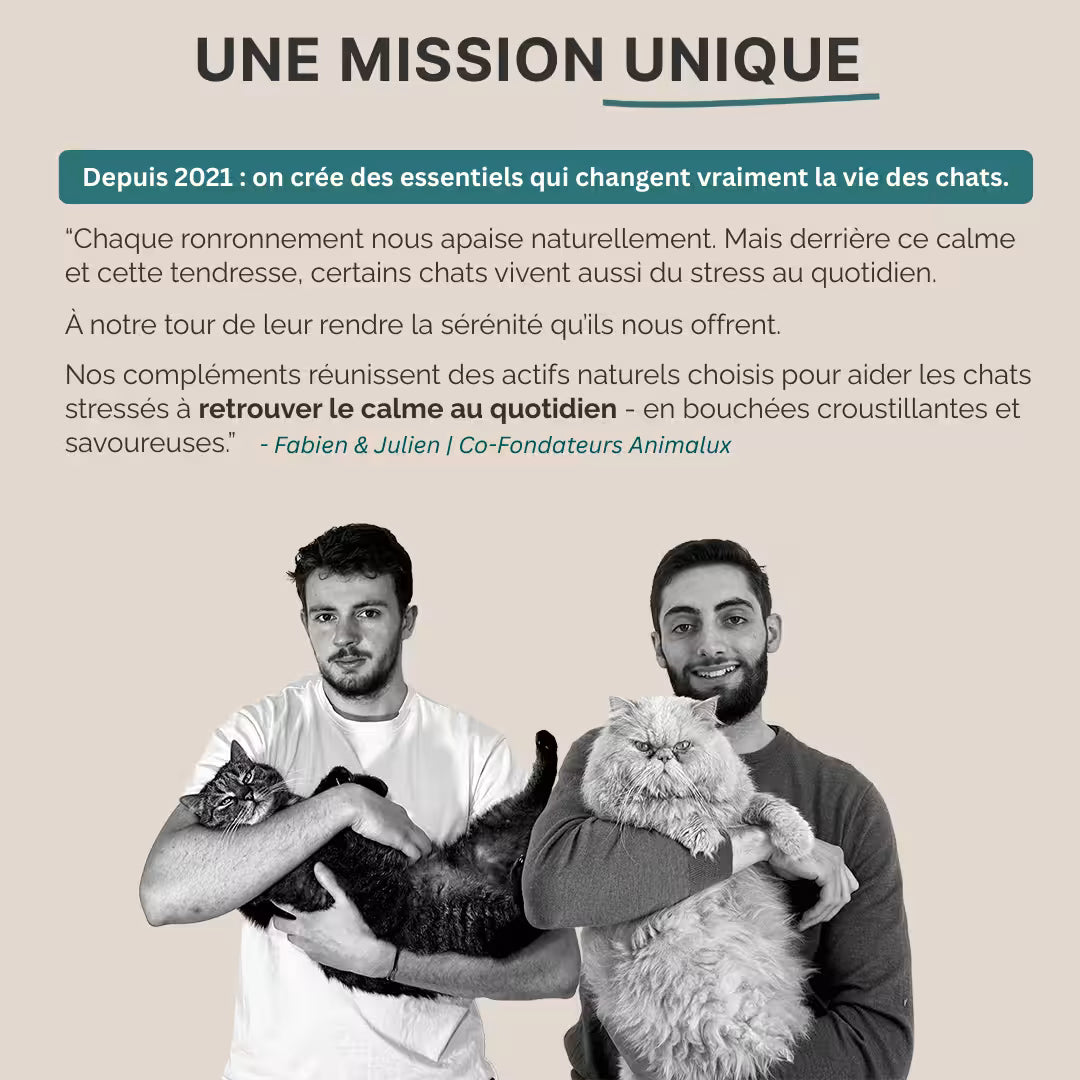 Friandises Relaxation