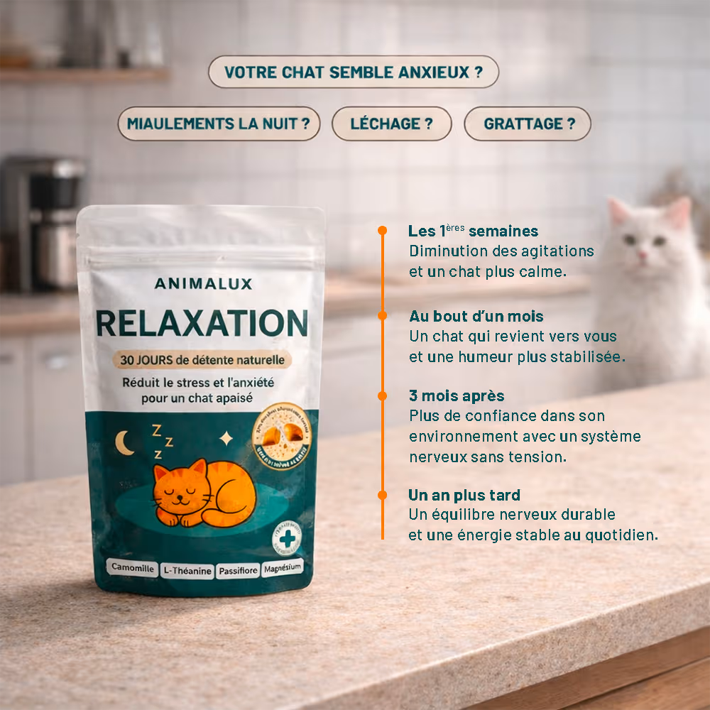 Complément Relaxation