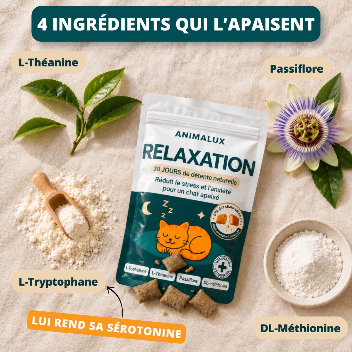 Compléments - Relaxation