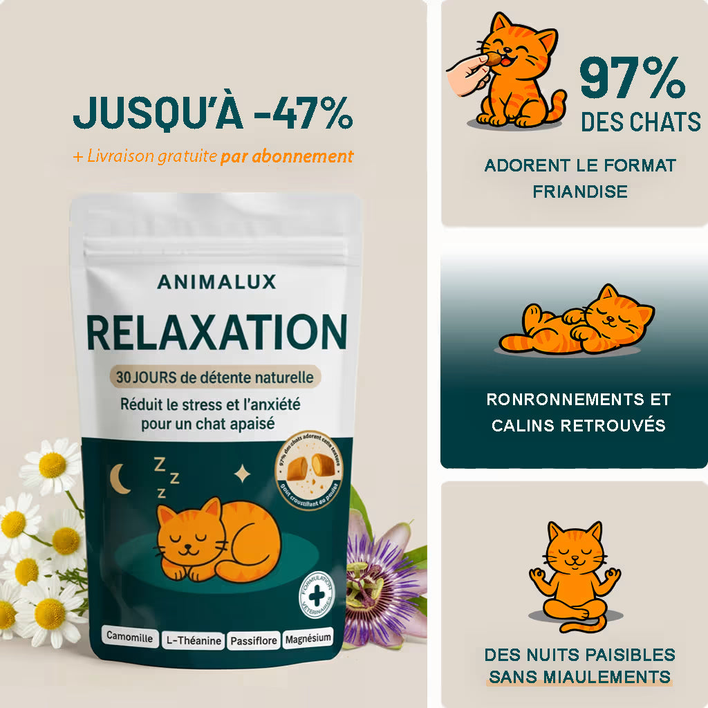 Complément Relaxation