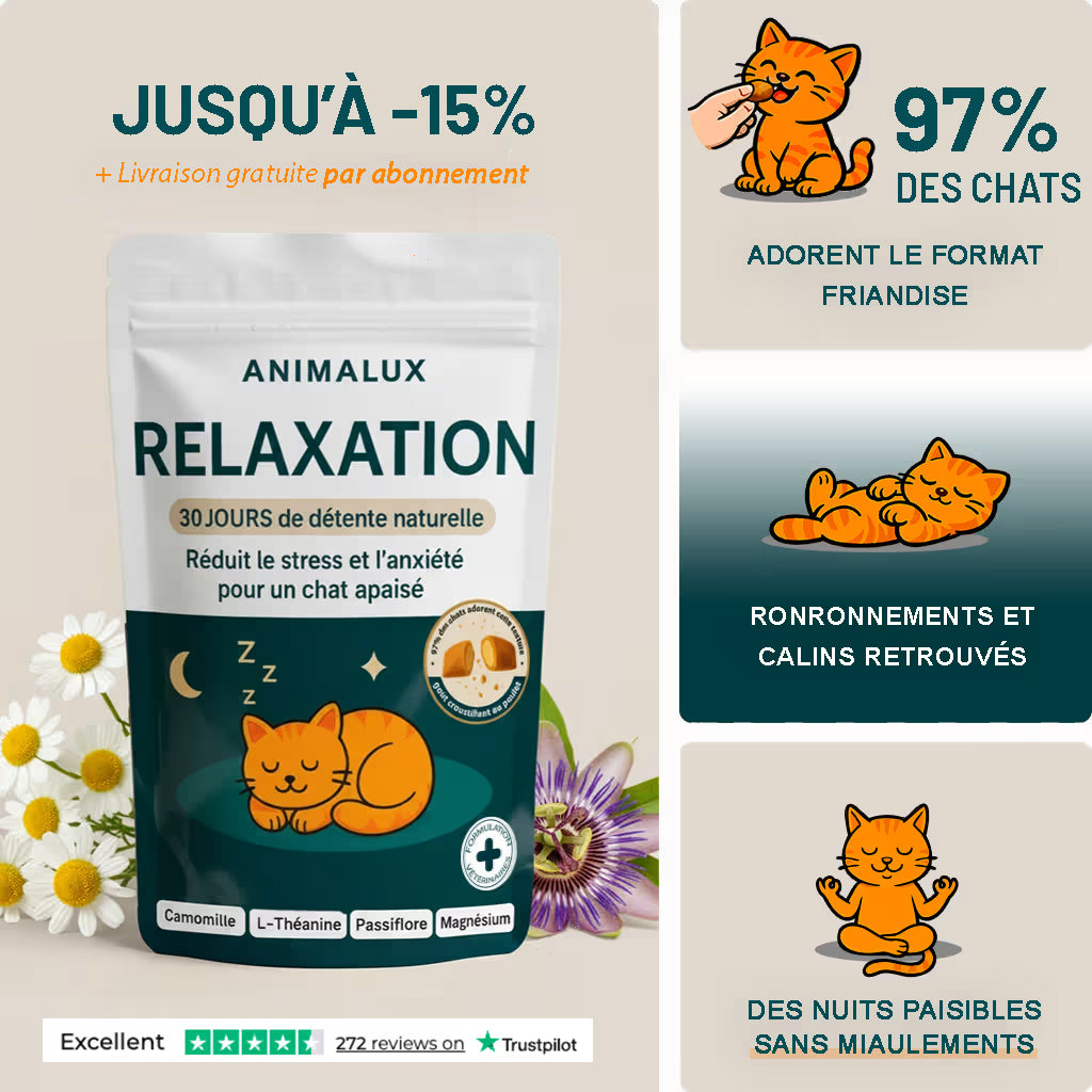 Compléments - Relaxation