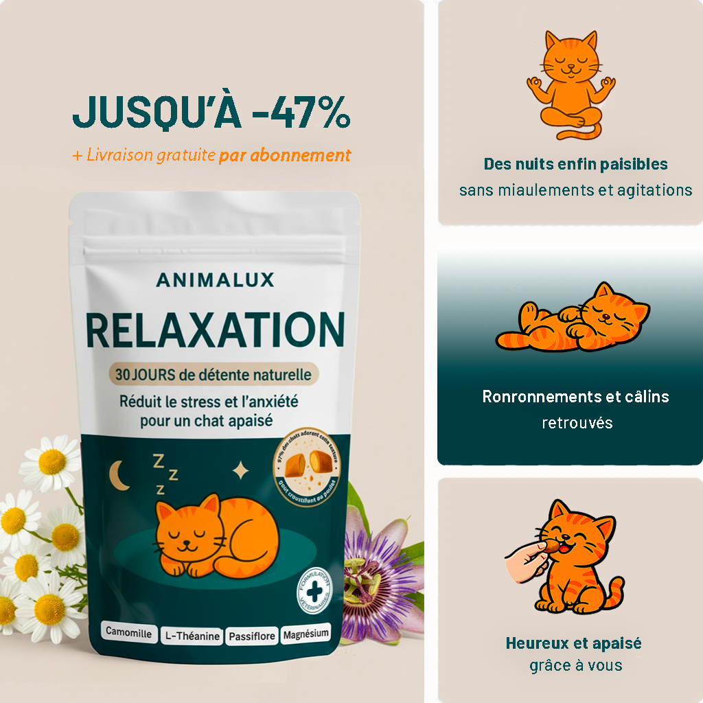 Complément Relaxation