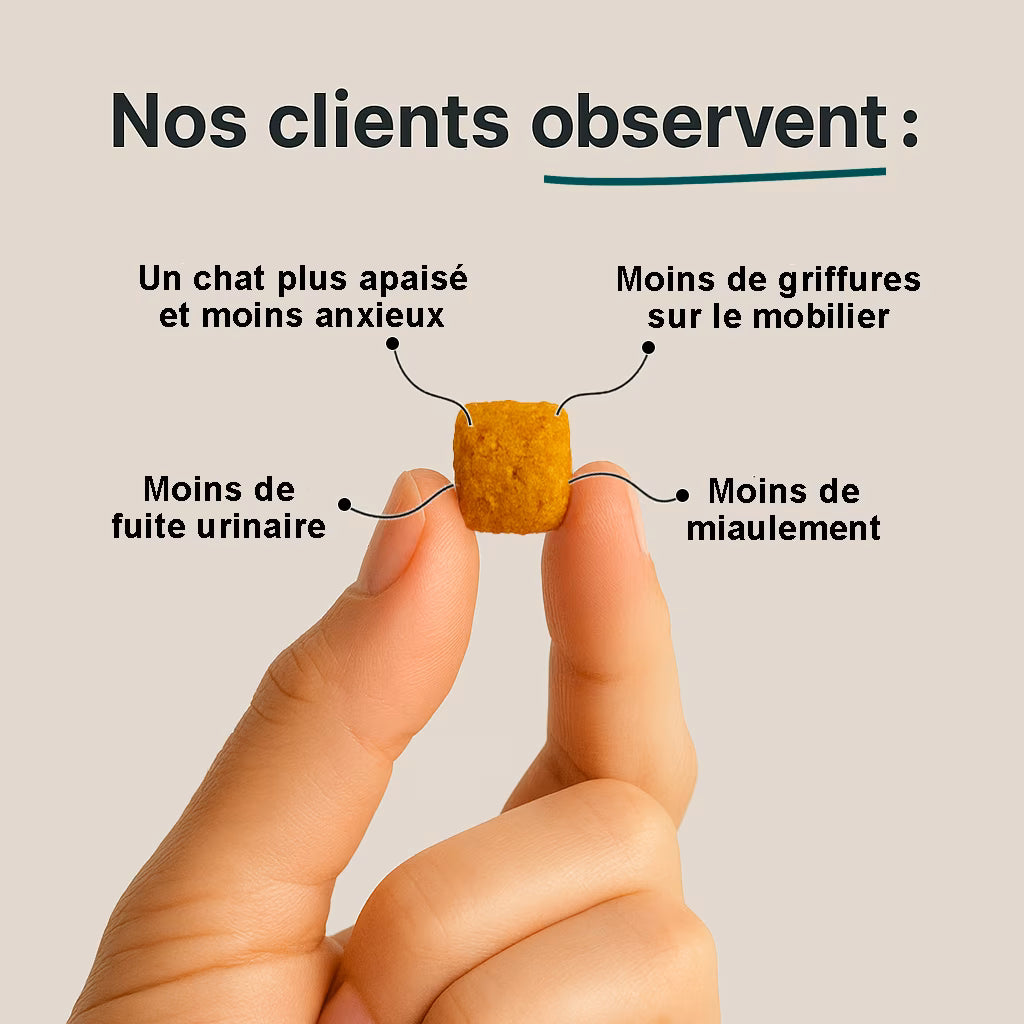 Bouchées Relaxation