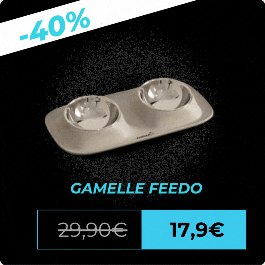 Gamelle Feedo