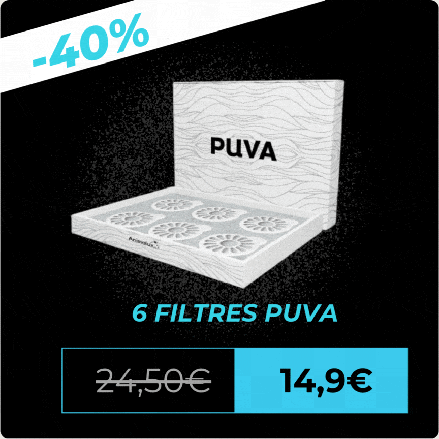 6 Filtres Puva