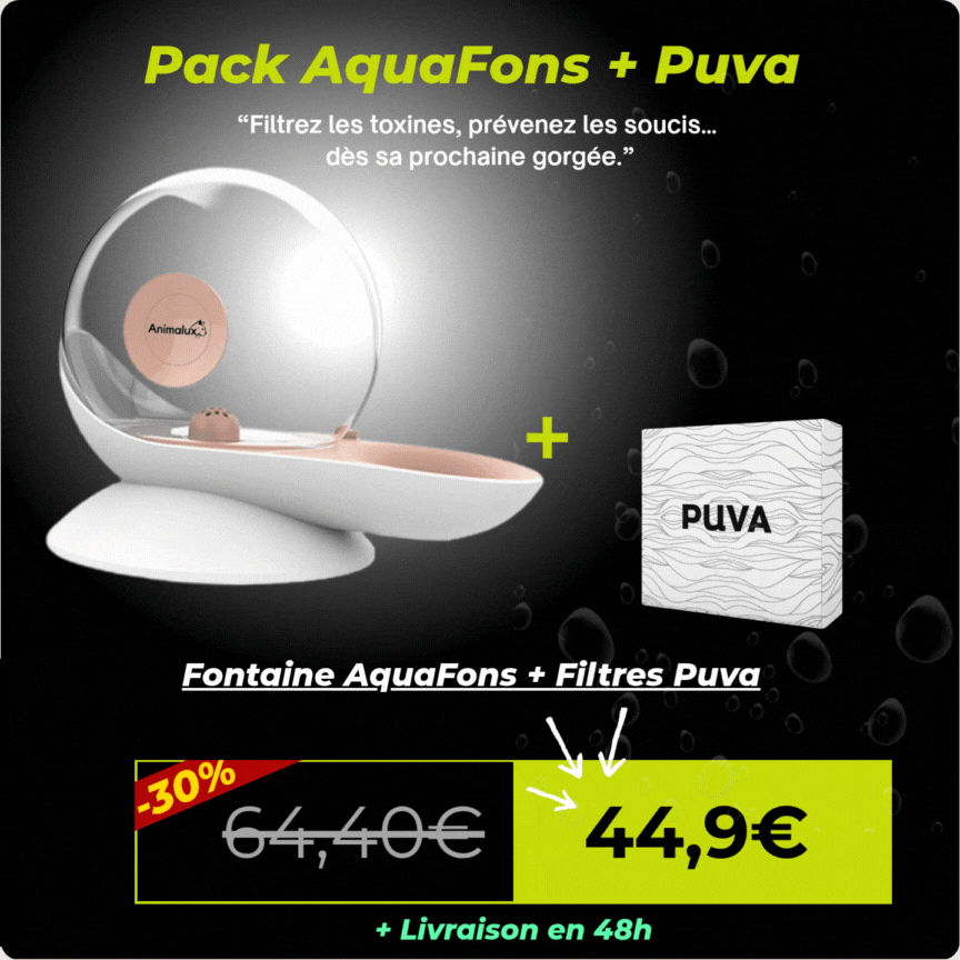 Fontaine AquaFons