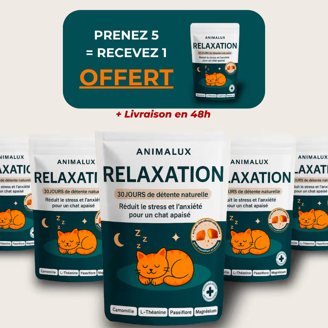 #quantité_5-sachets