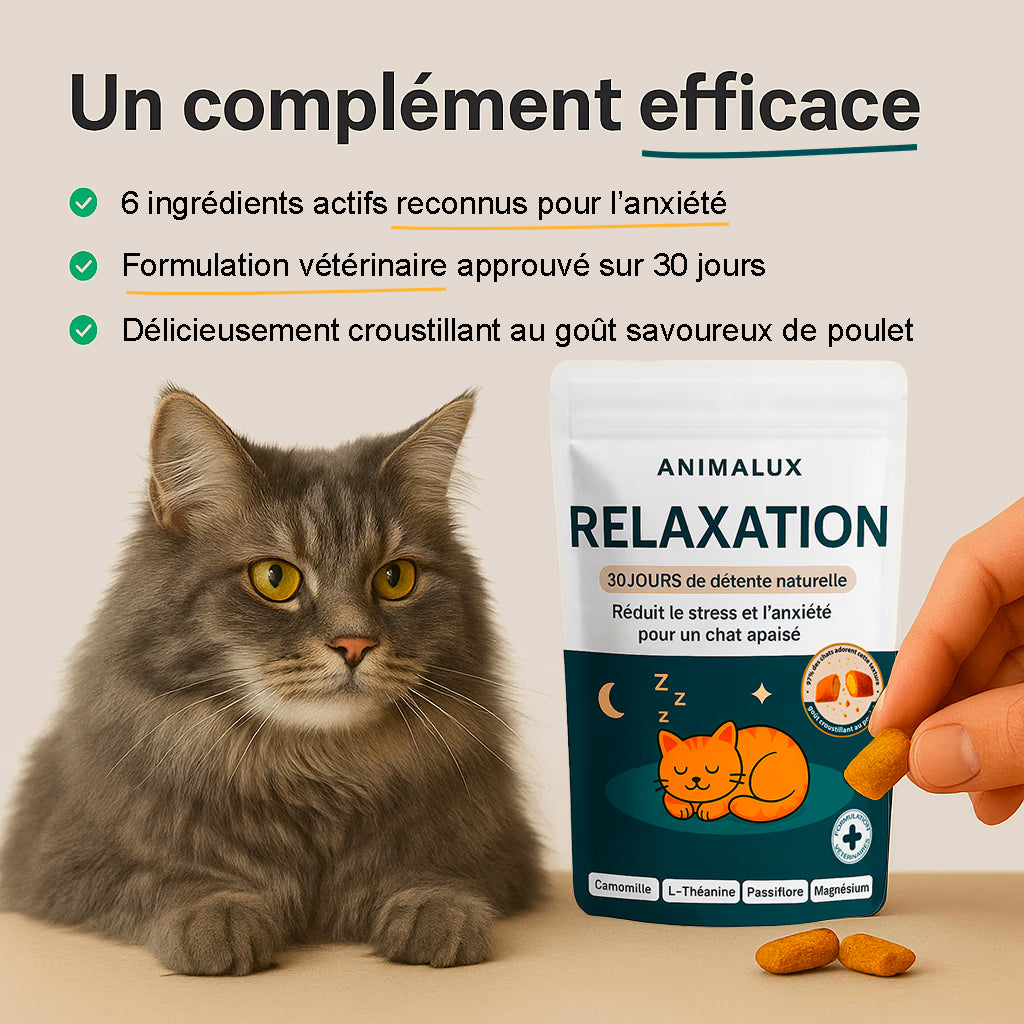 Bouchées Relaxation