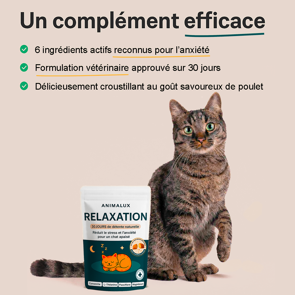 Complément Relaxation