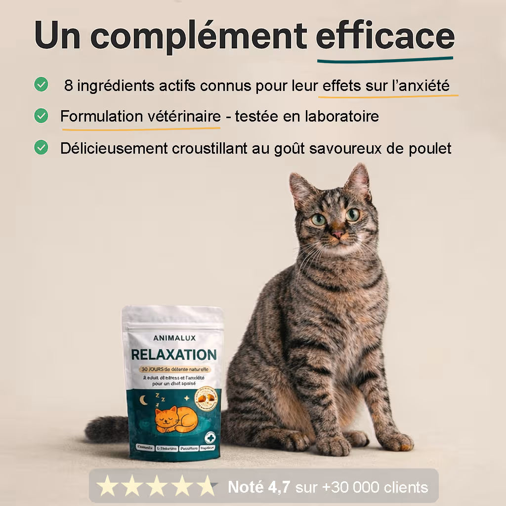 Complément Relaxation