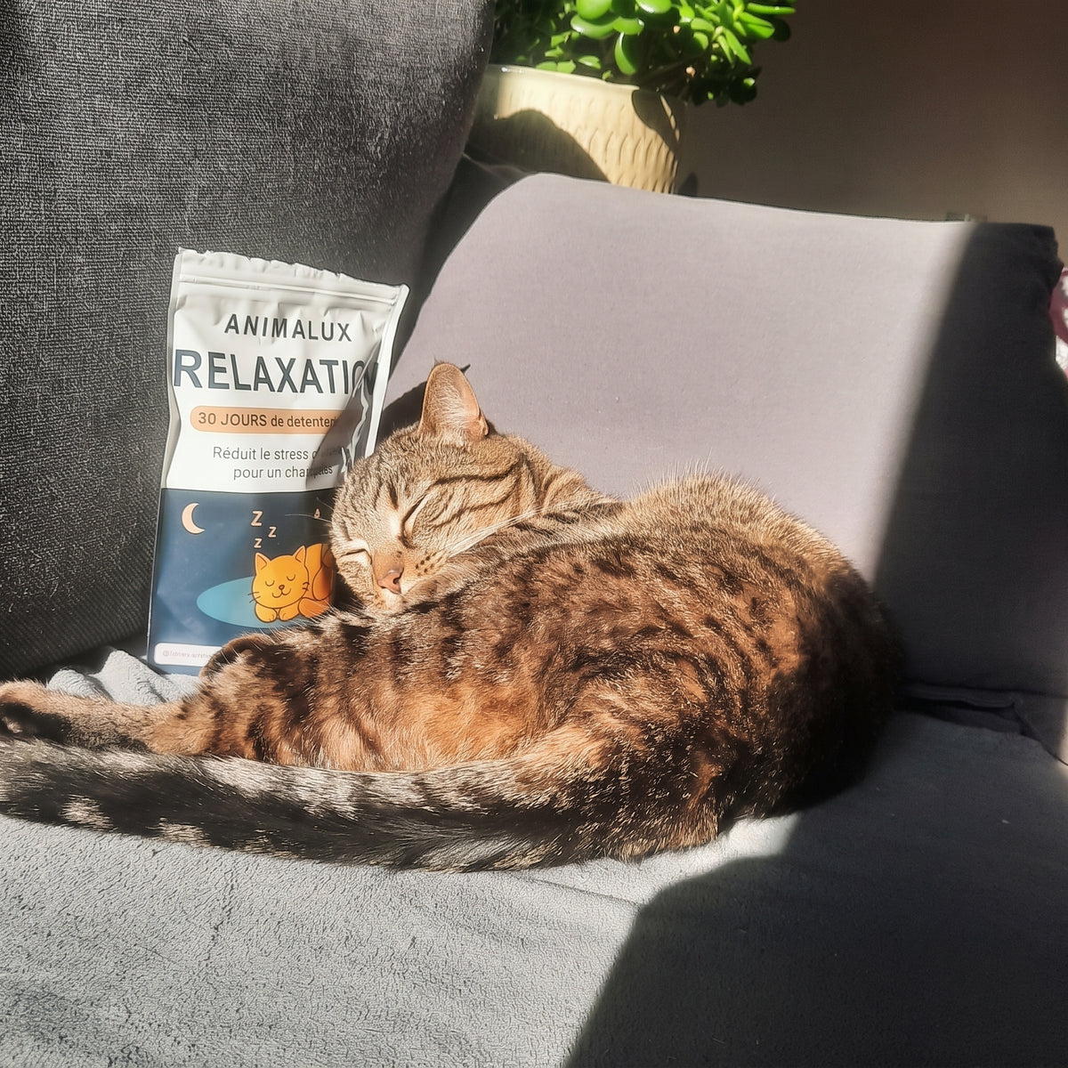 Compléments - Relaxation